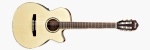 AEG10NE-NT