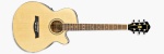 AEG8E-NT