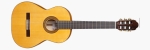 35PB Flamenco