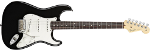 Stratocaster� American Standard Black Rosewood