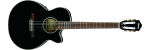 AEG10NE-BK