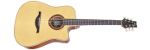 4 Seasons 100DCE Dreadnought Cutaway AC/EL
