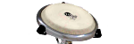 Compact Conga 11 3/4"