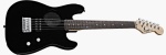 Mini� Player Black Rosewood