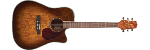 EG333C-LTD Amber Burst Gloss