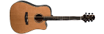 EG363SC Dreadnought