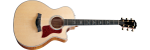 614CE - Grand Auditorium Cutaway