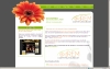 @DREM - Conception de site Web