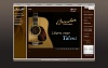 Boucher Guitar