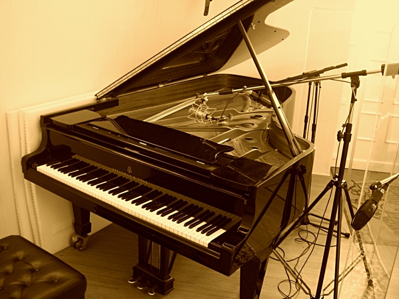 Akg C5600