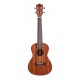 Prodipe Ukulélé BC2