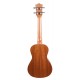 Prodipe Ukulélé BC2