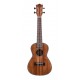 Prodipe Ukulélé BC2380