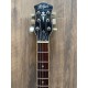 Hofner Verythin CT Special