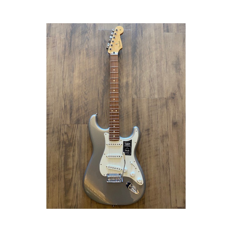 Fender Player Stratocaster®, Pau Ferro Fingerboard, Silver