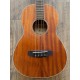 Ibanez PNB14E-Open Pore Natural