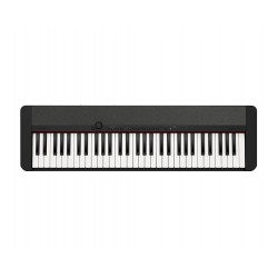 Casio CASIOTONE Keyboards
