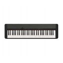 Casio CASIOTONE Keyboards