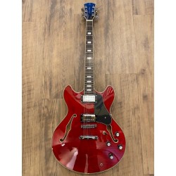 Sire LARRY CARLTON H7 STR
