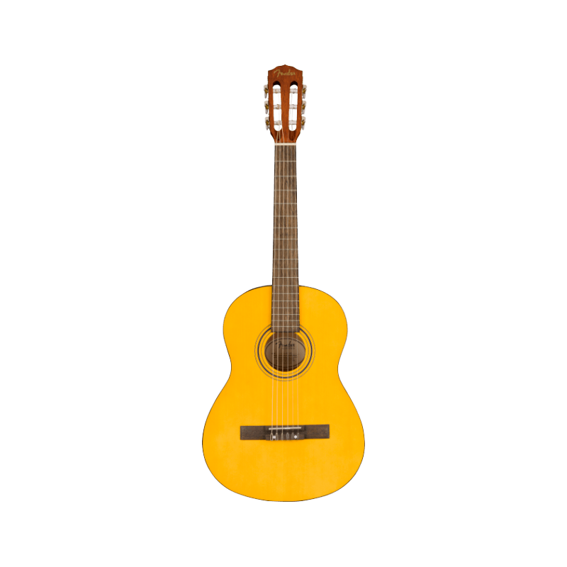 Fender ESC80 Educational Series, WN