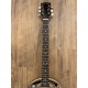 Gold Tone Banjitar Deluxe