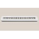 Casio PX-S1100WE