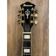 Ibanez AG95QA-DBS