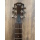 Taylor GTe Mahogany