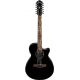 Ibanez AEG5012-BKH