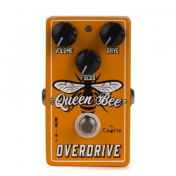 Queen Bee Overdrive