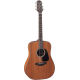 Takamine GD11MNS
