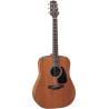 Takamine GD11MNS