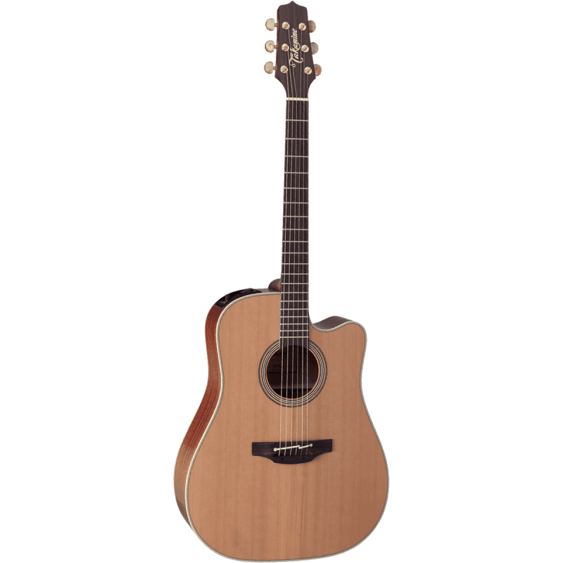 Takamine EN10C