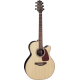 Takamine GN93CENAT