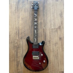 PRS SE Paul Allender