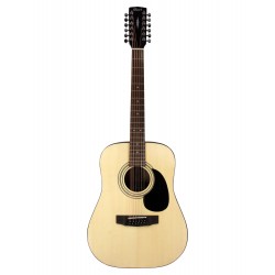 Cort AD810-12