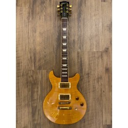 Les Paul Standard Double Cutaway Plus