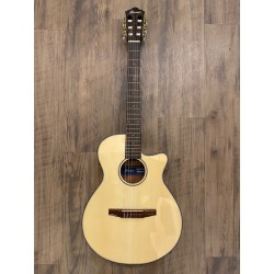 Ibanez AEG50N-NT