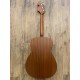 Fender Monterey Standard