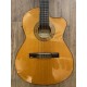 Ibanez GA5TCE-AM