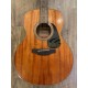 Takamine GLN11ENS