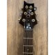 PRS SE DGT
