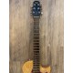 Taylor SB-1