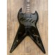 Epiphone Zakk Wylde