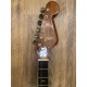 Kawai Hertiecaster