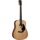 Martin D-10E