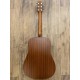 Martin DX1-E