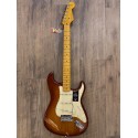 American Professional II Stratocaster
