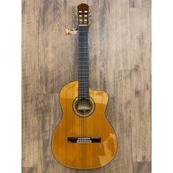 Takamine TH5C