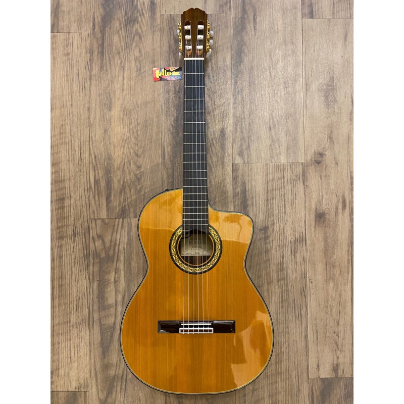 Takamine TH5C